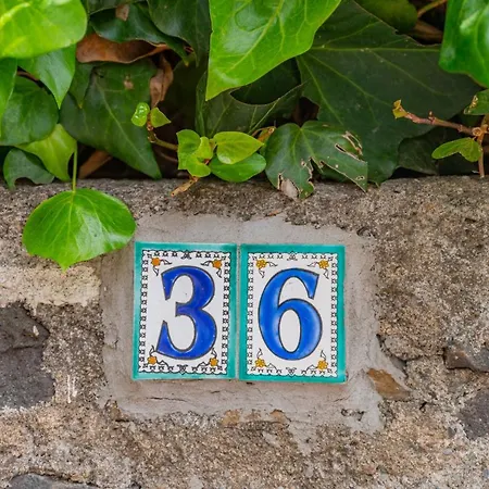 Old Memories House * 陶尔米纳